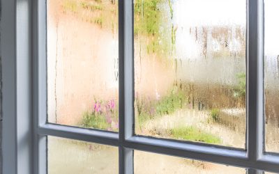 Heavy window condensation caused by high indoor humidity levels, with a warm summer garden visible through the glass