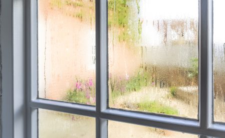 Heavy window condensation caused by high indoor humidity levels, with a warm summer garden visible through the glass
