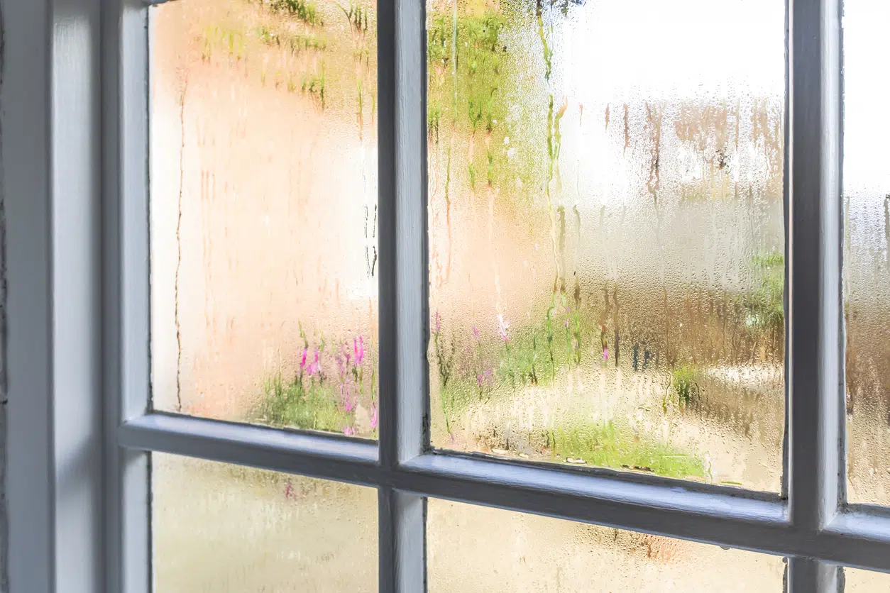 Heavy window condensation caused by high indoor humidity levels, with a warm summer garden visible through the glass